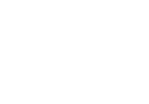 ibis-otel-logo